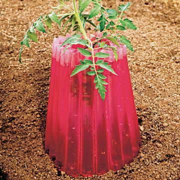red plastic for tomato plants Insulating Plant Protector