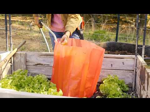 Kozy-Coats™ Insulating Plant Protector - Set of 3