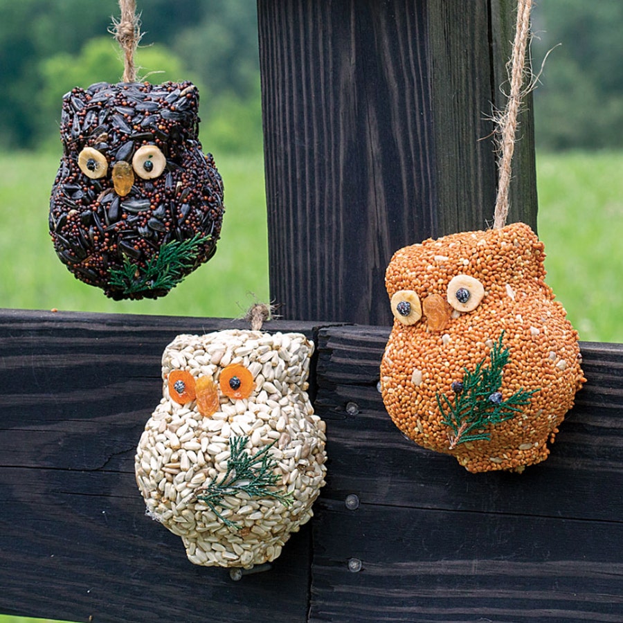 Ollie Owl Birdseed Gift Set