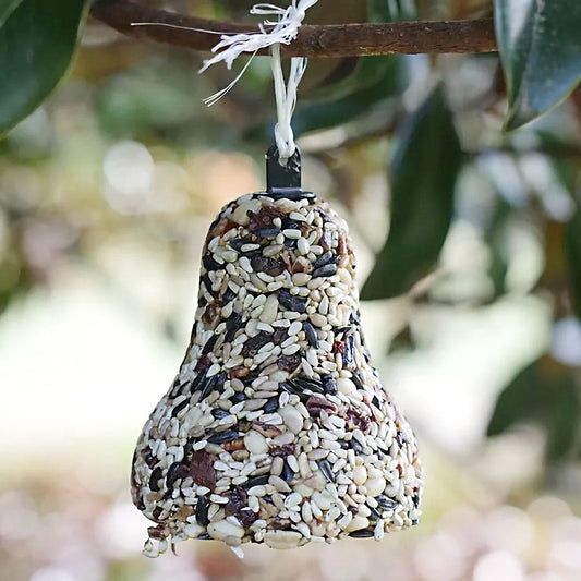 Christmas Fruit & Nut Birdseed Bell