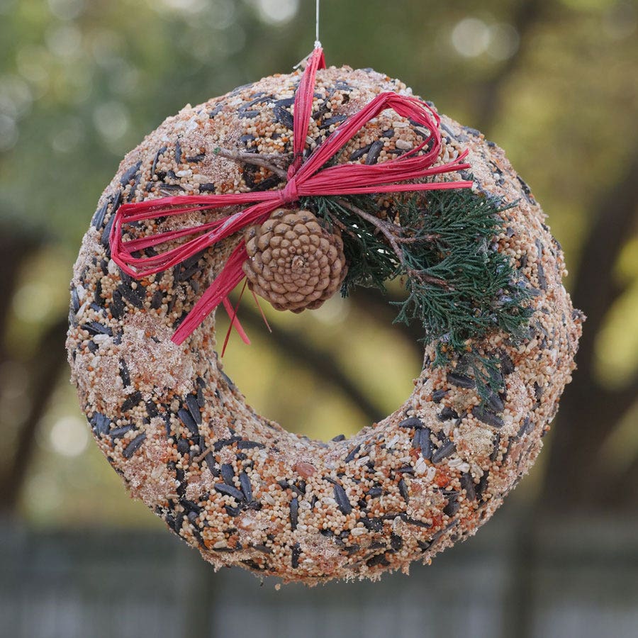 Wildfeast Birdseed Wreath