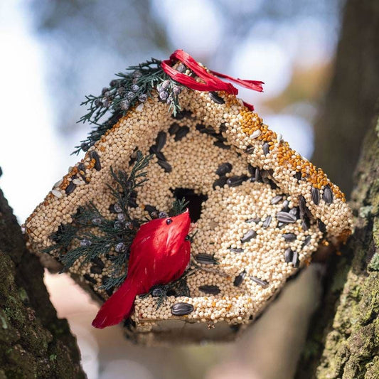 Wren Birdseed Casita + Cardinal
