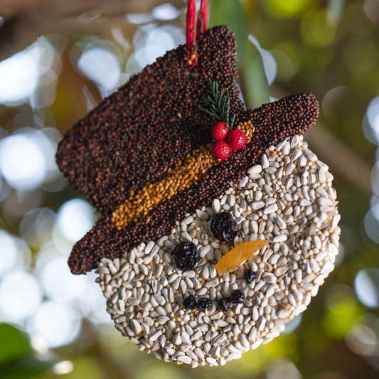 Frosty Cookie Birdseed Treat