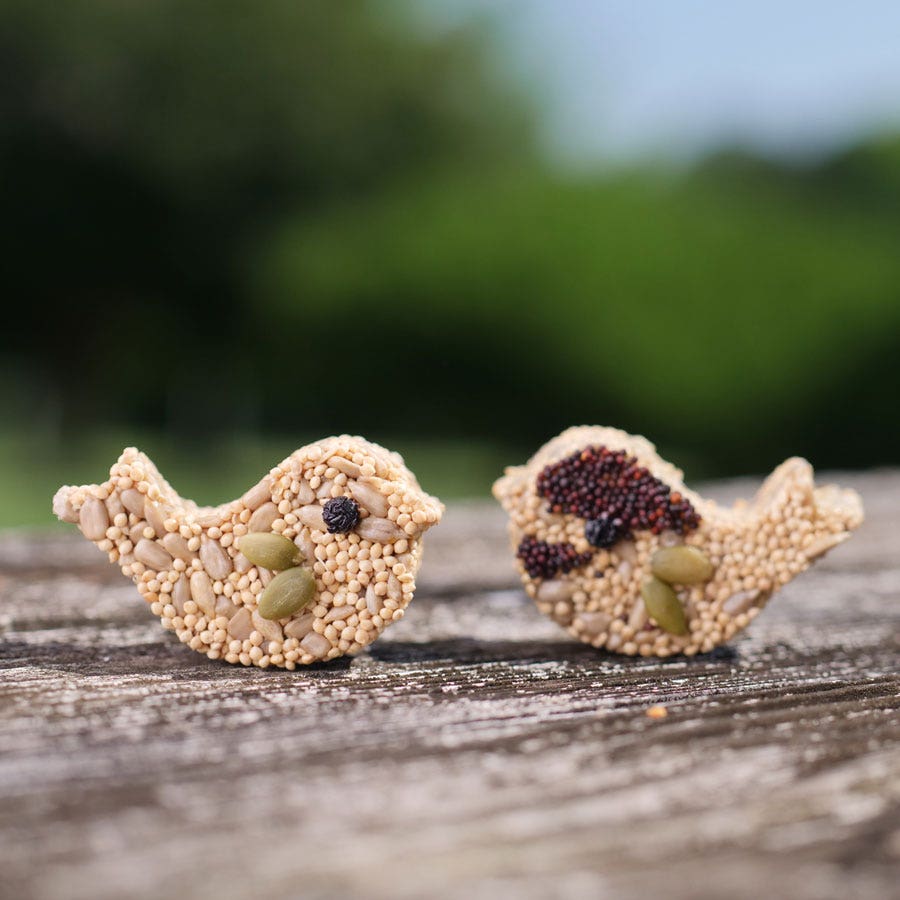 Home Tweet Home Birdseed Gift Set