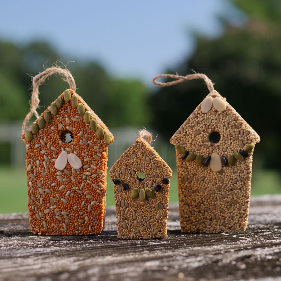 Home Tweet Home Birdseed Gift Set