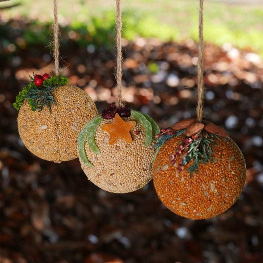 Fruit Ball Birdseed Gift Set