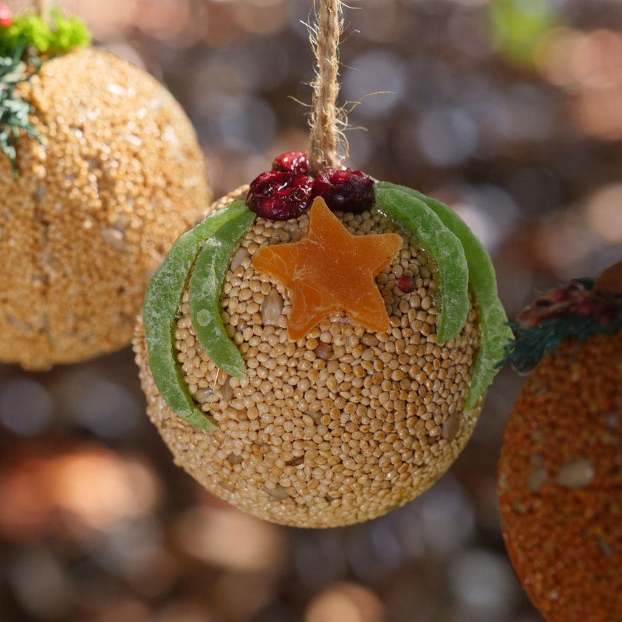 Fruit Ball Birdseed Gift Set