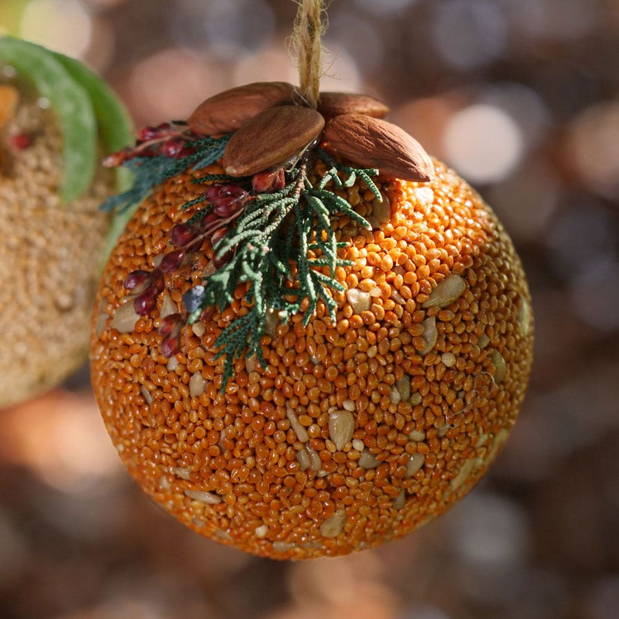 Fruit Ball Birdseed Gift Set