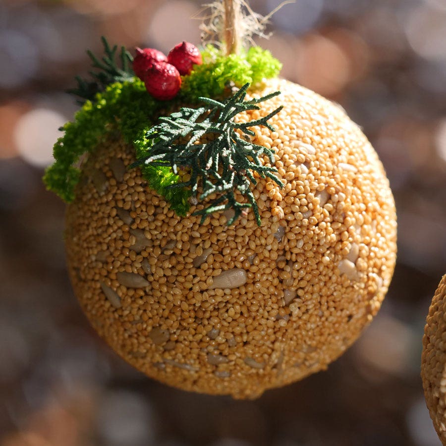 Fruit Ball Birdseed Gift Set