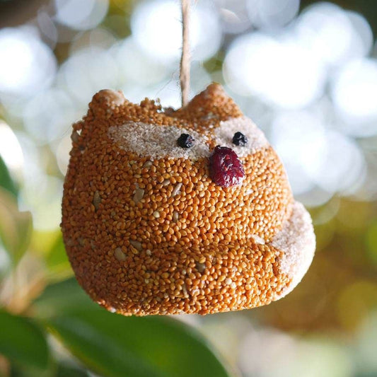 Woodland Fox Birdseed Treat