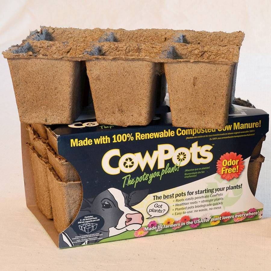cardboard planting pots CowPots Biodegradable Seed Starter