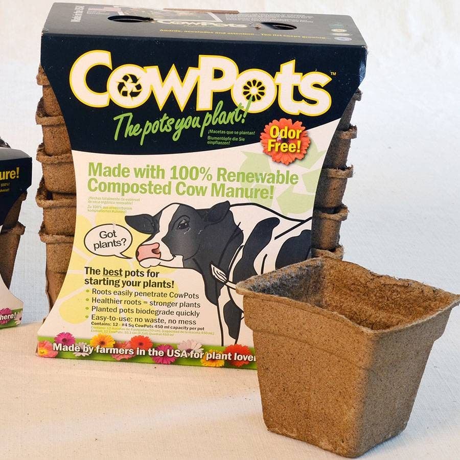 CowPots 4-inch Square Biodegradable - Pack of 12