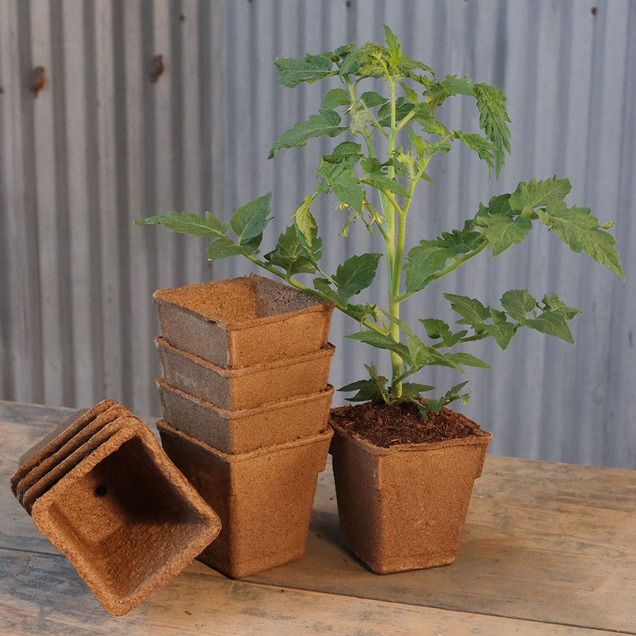 CowPots 4-inch Square Biodegradable - Pack of 12