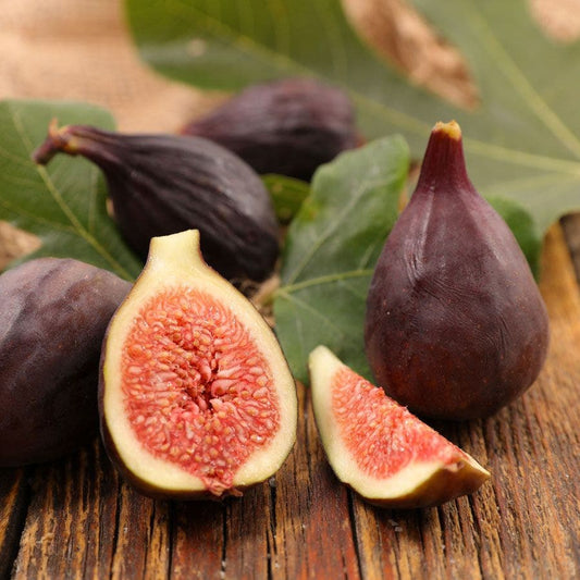 Ficus 'Violette de Bordeaux' Fig
