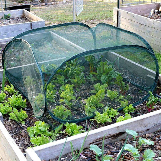 Pop-Net 1 Screen Mesh Plant Protector