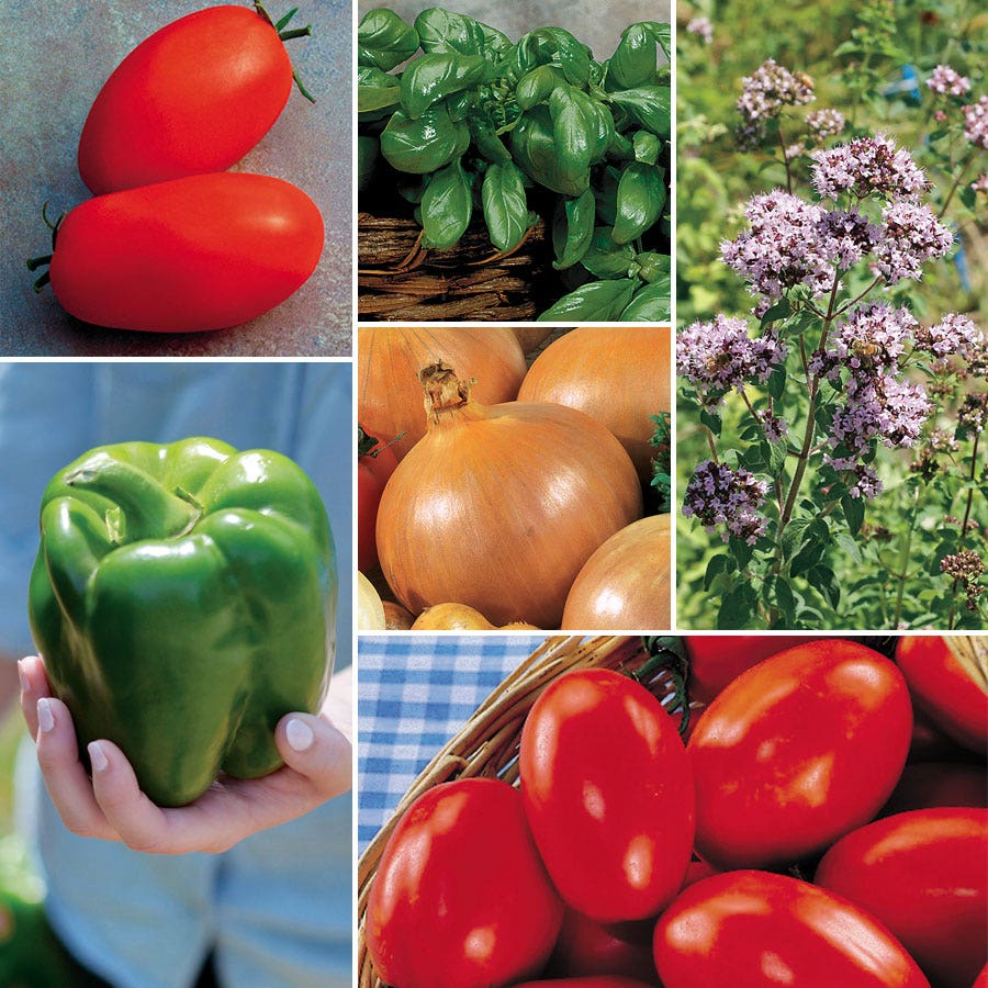 garden seed bundles Ultimate Park Seed Veggie Pizza Garden Seed Bundle