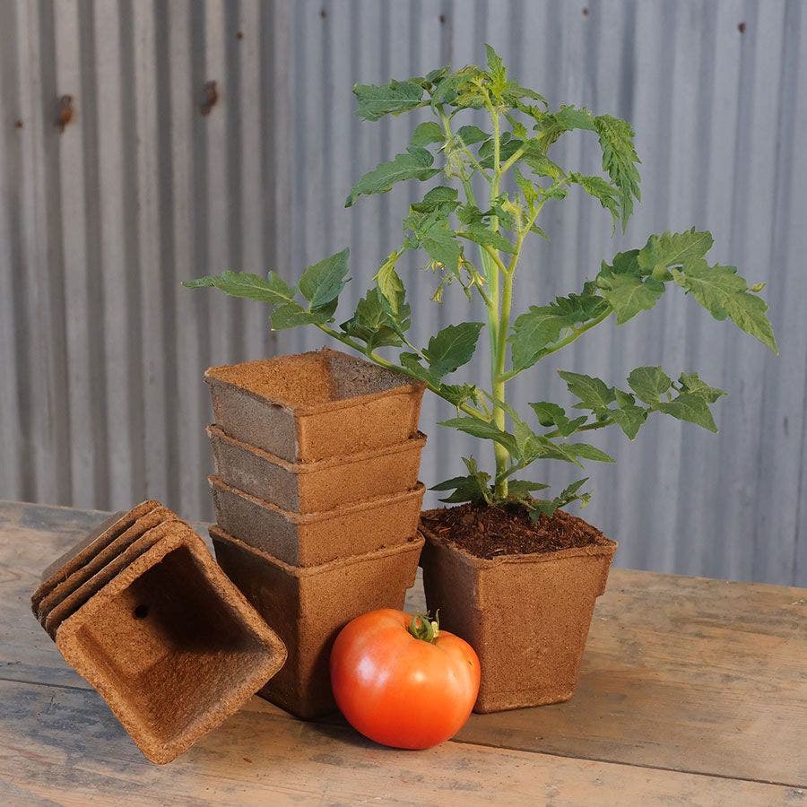 CowPots 4-inch Tall Biodegradable - Pack of 22