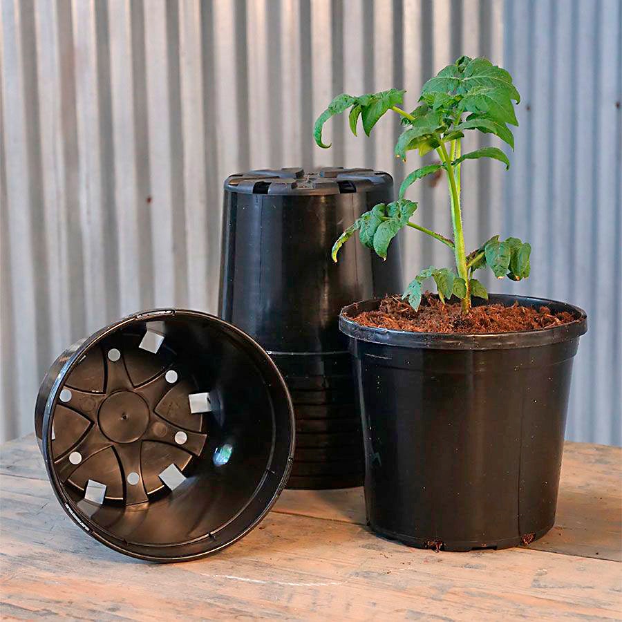Nursery Pot Black - Gallon (Pack of 10)