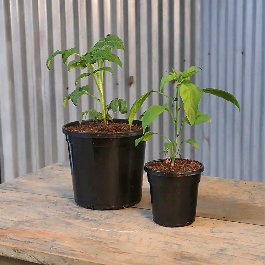 quart plant pot Nursery Pot Black