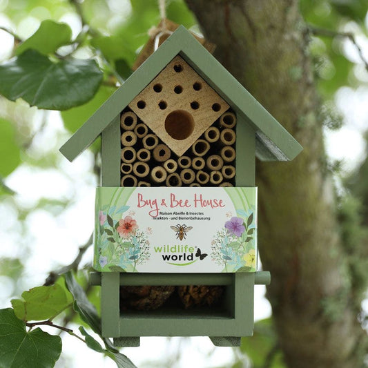 Bug and Bee House