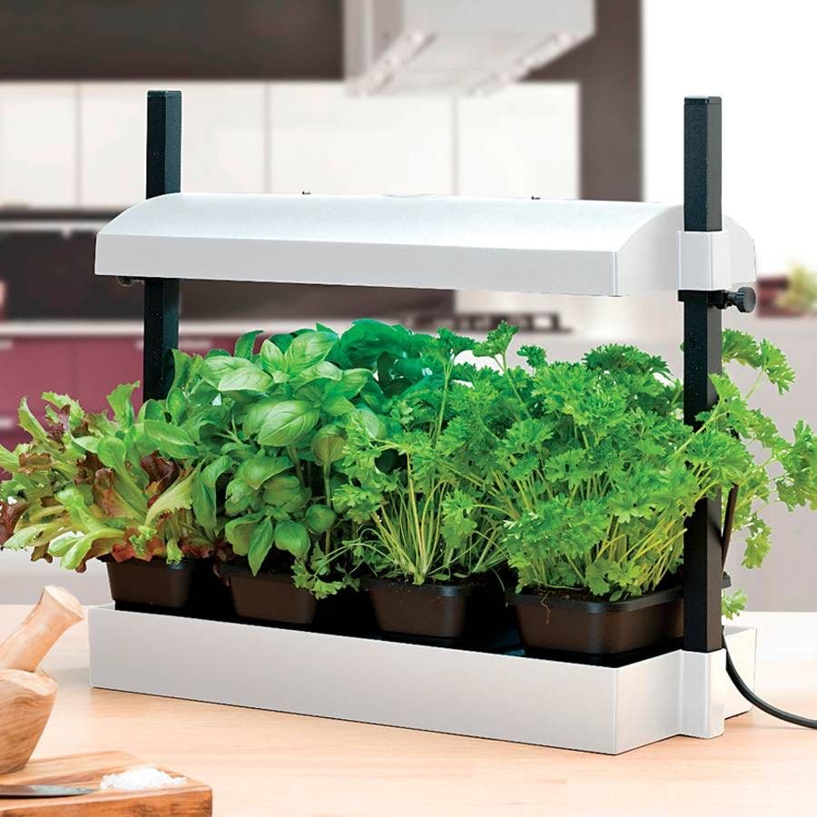 white plant grow light SunBlaster Micro LED Grow Light Garden