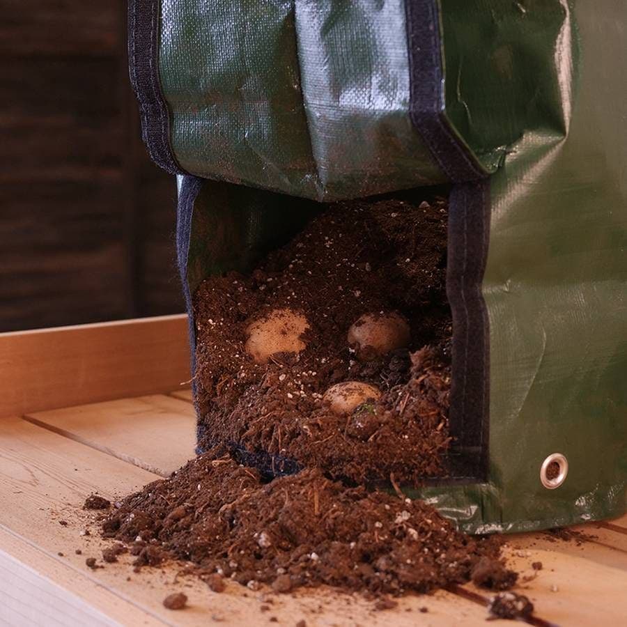 Grow Bags with Flap and Handles Collapsible - 10 Gallons