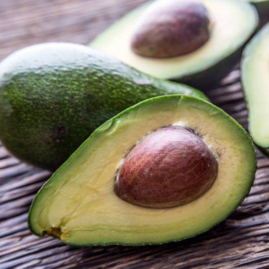 Persea Avocado Bacon