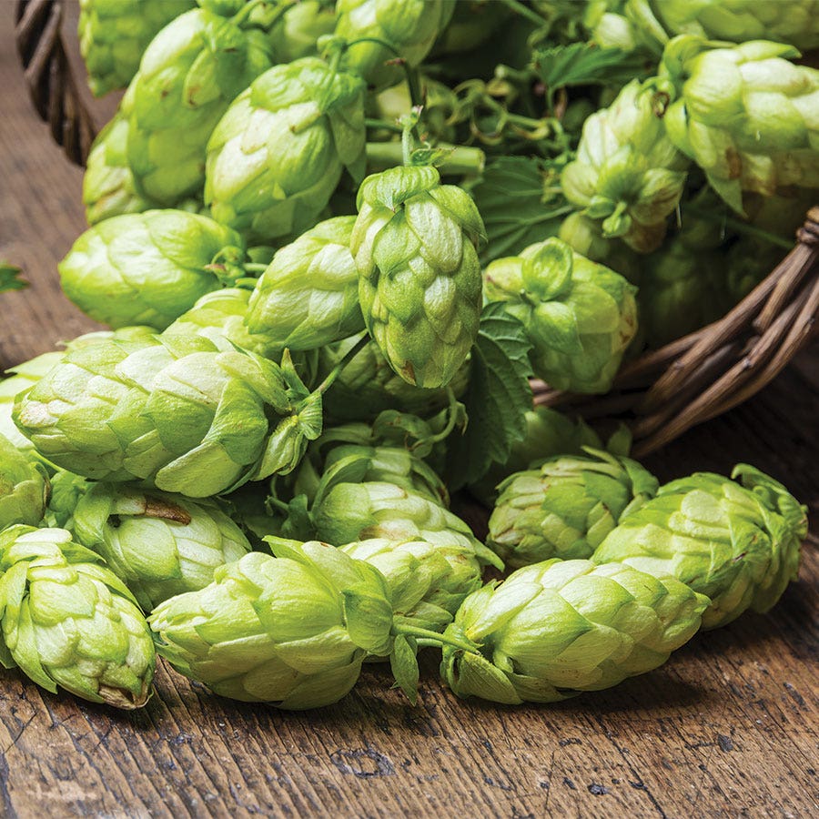 Hops Cascade