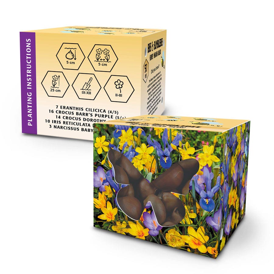 Bee & Bumblebee 'Honey Heaven' Bulb Blend