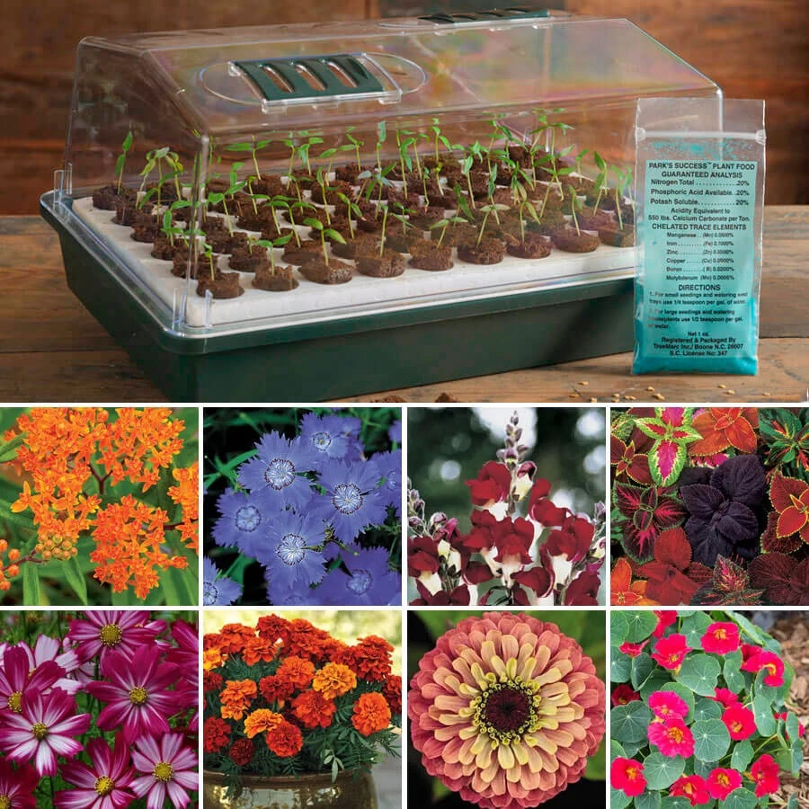 types of seed plants Park's Flower Seed Bio Dome Collection – Park Seed