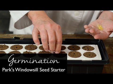 Park's Windowsill Flower Starter Kit