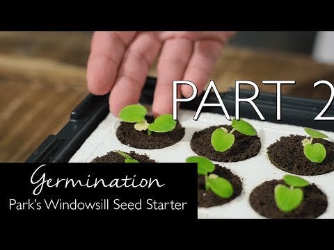Park's Windowsill Flower Starter Kit