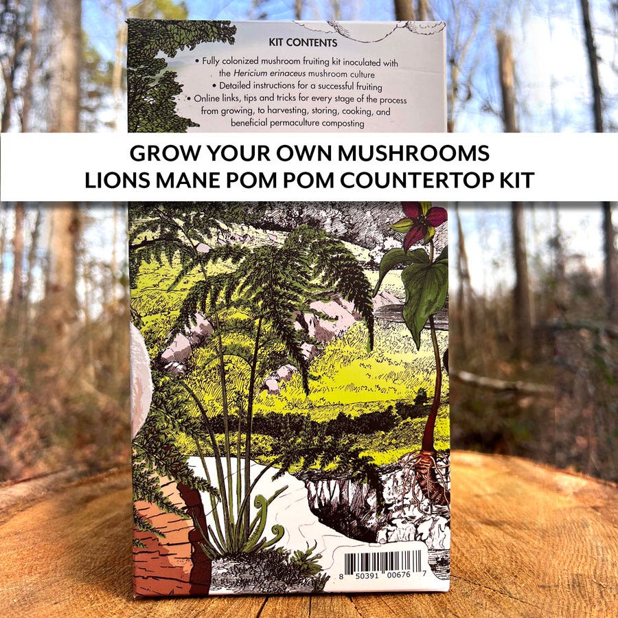 Mushroom Lion's Mane Pom Pom Countertop Kit