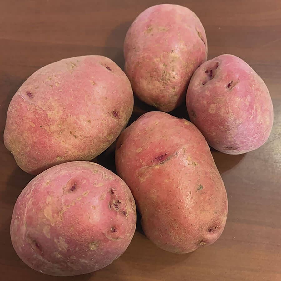 Dark Red Norland Potato - 2 Pound Bag