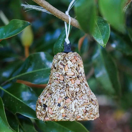 Bugs, Nuts & Fruit Birdseed Bell