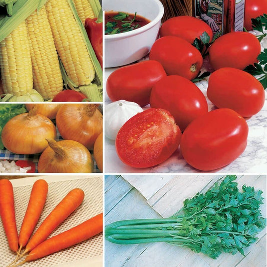 Ultimate Park Seed Vegetable Soup Seed Collection