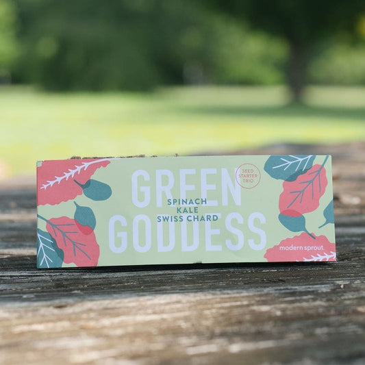 Modern Sprout Seed Starter Trio - Green Goddess