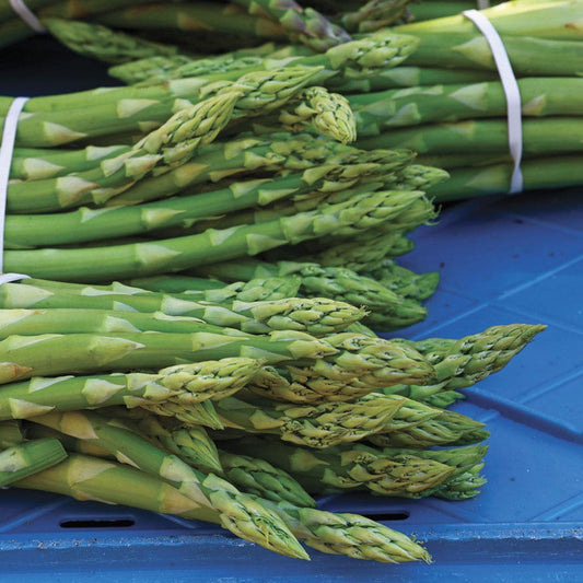 Asparagus Millenium