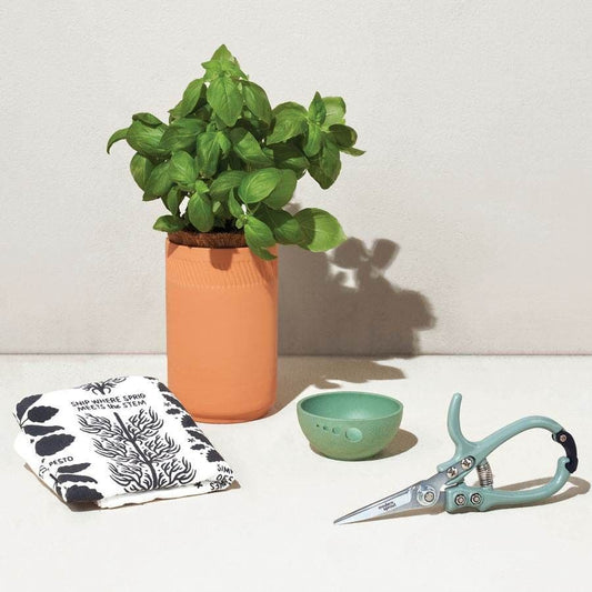 Modern Sprout Growing Gourmet Indoor Herb Garden