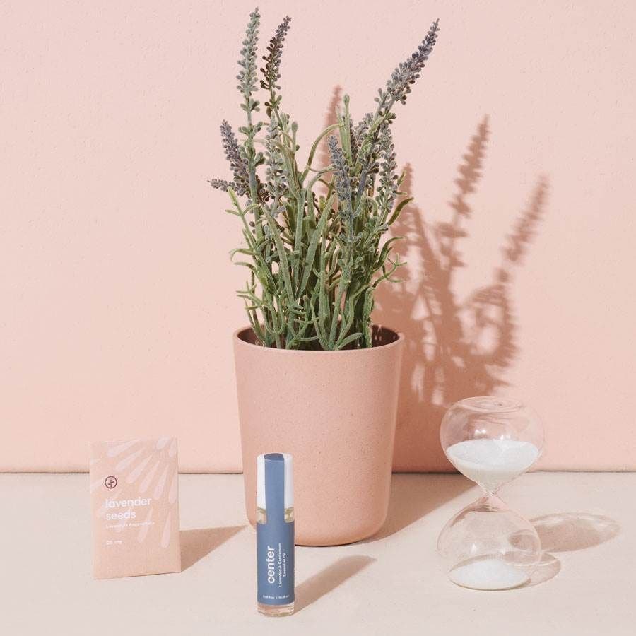 sprout lavender seeds Modern Sprout Unusual Lavender Mindfulness Gift Set – Park Seed