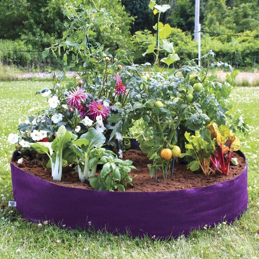 Smart Pot® Round Raised Bed (Purple) 100-Gallon Fabric Planter
