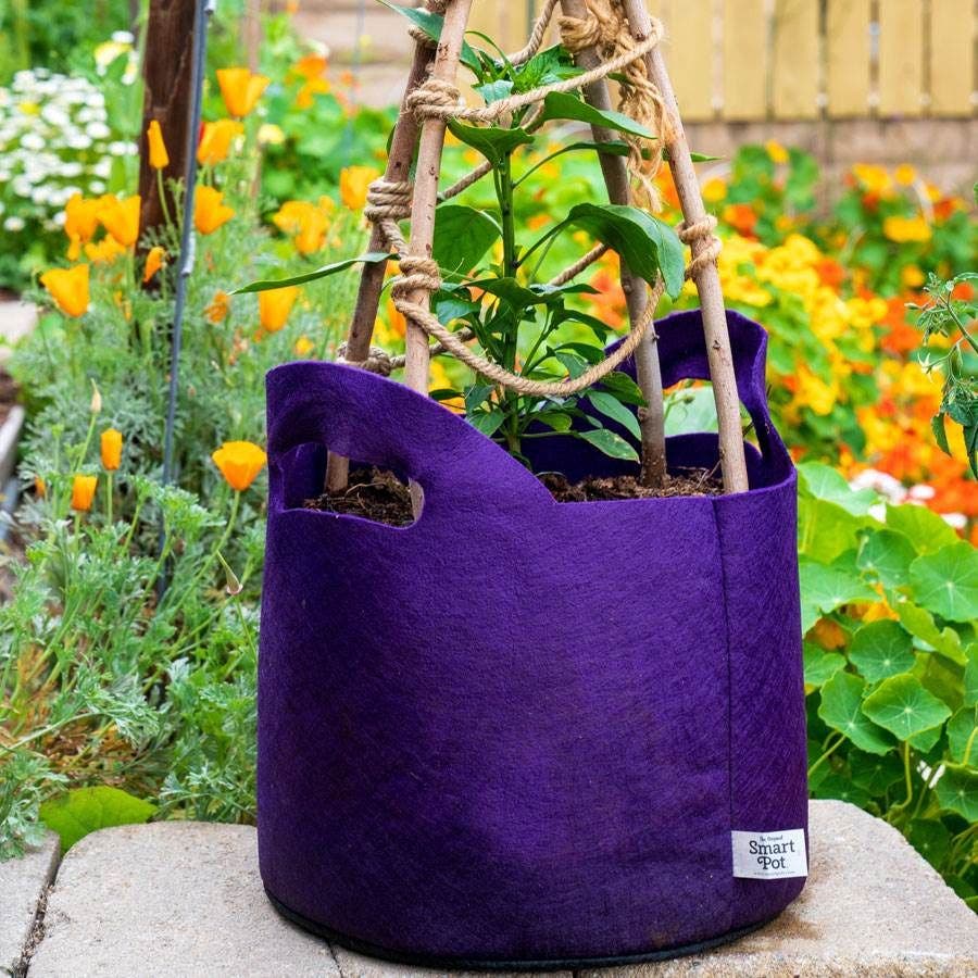 Smart Pot® w/Handles (Purple) 10-Gallon Fabric Planter
