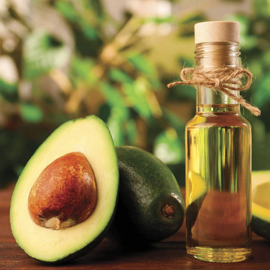 Persea Holiday Avocado