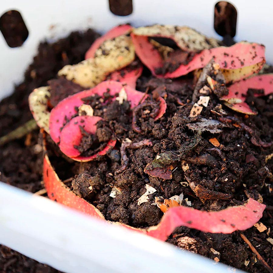 Vego Garden® In-Ground Worm Composter