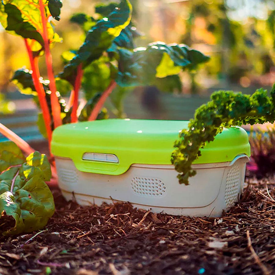 Vego Garden® In-Ground Worm Composter