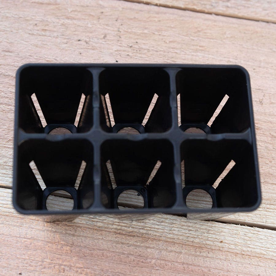 Plug Tray 6 Cell Inserts Black - extra strength