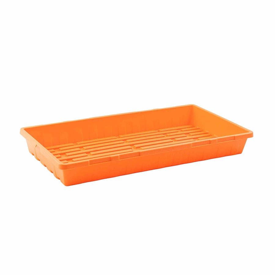 Grow Trays 1020 Multicolor - no holes, extra strength, 2.5 inches deep