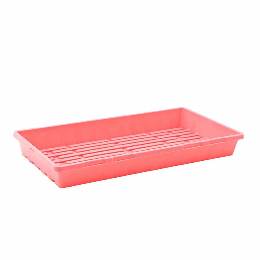 Grow Trays 1020 Multicolor - no holes, extra strength, 2.5 inches deep
