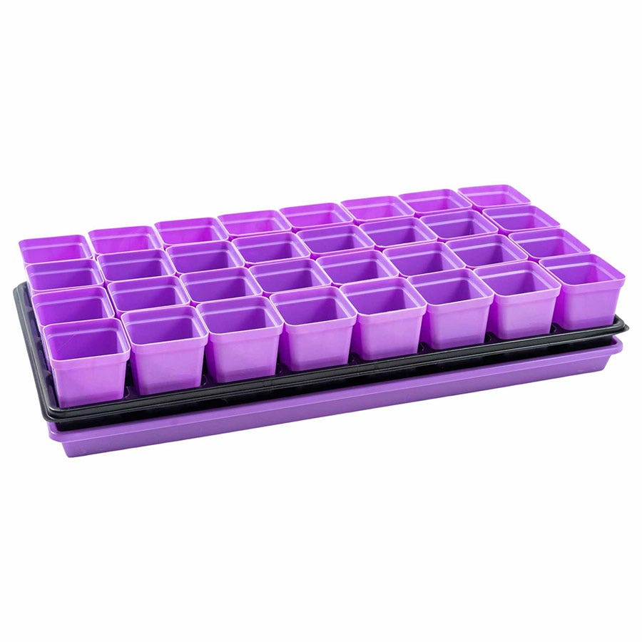 Seed Starter Pots 2.5 inches Multicolor - extra strength