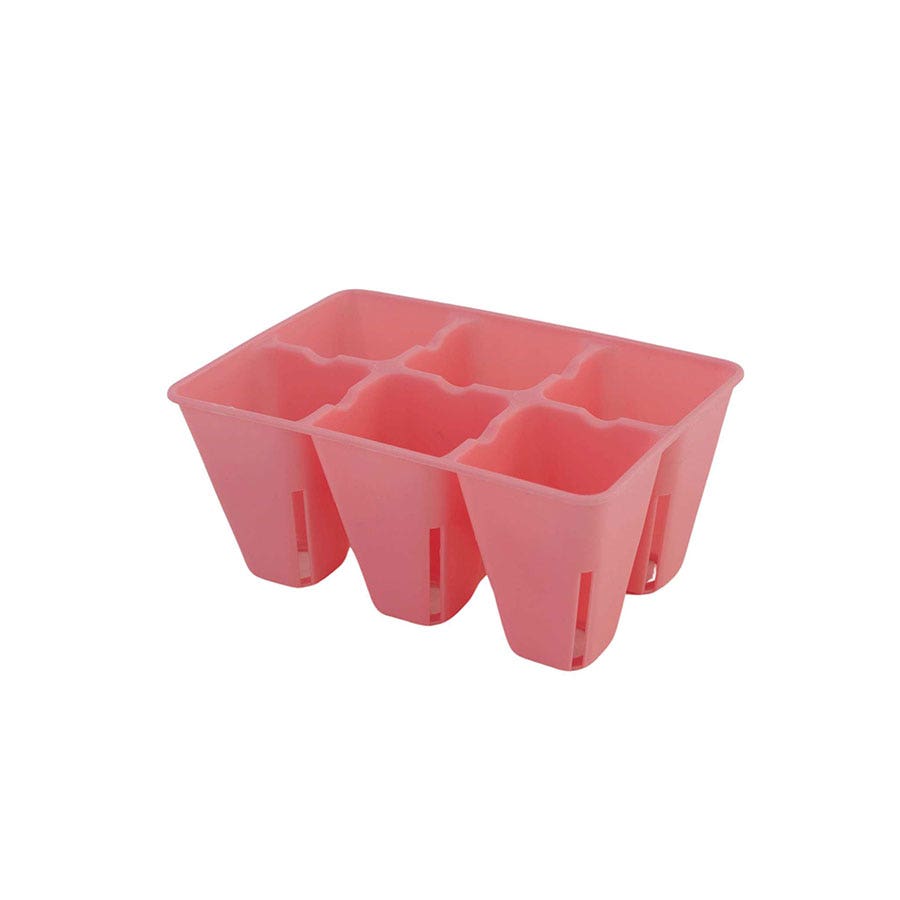 Plug Tray 6 Cell Inserts Multicolor - extra strength